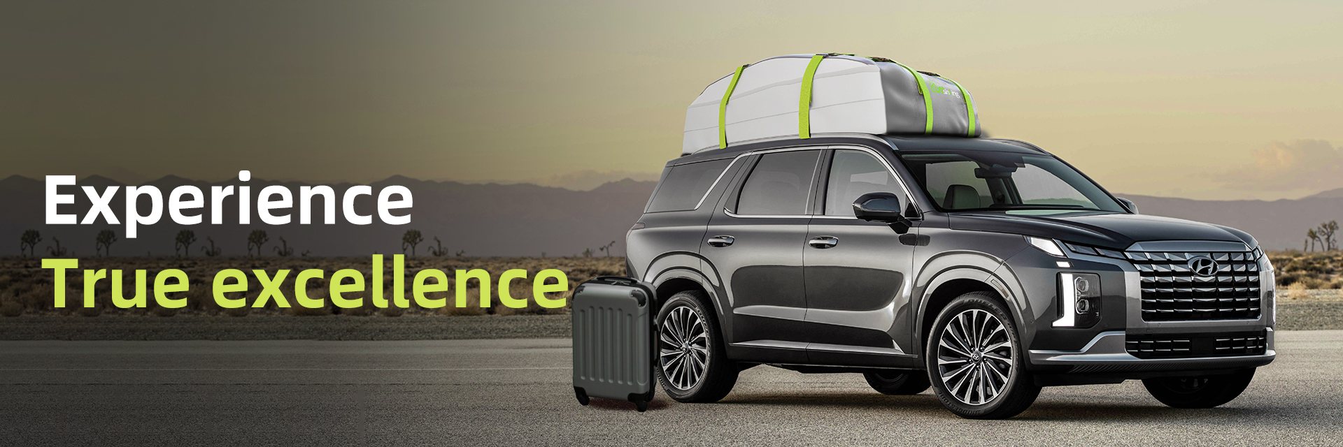 Asinking hitch bags banner